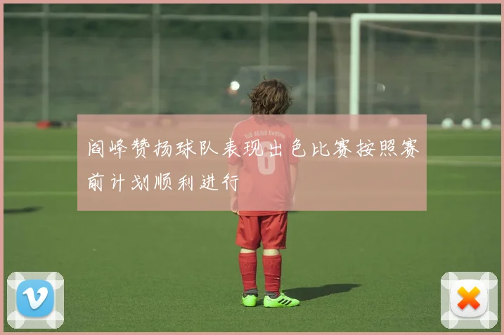 阎峰赞扬球队表现出色比赛按照赛前计划顺利进行